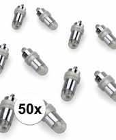 Ballon lampion led lichtjes warm wit 50 keer