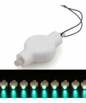 Lampion led lichtje groen