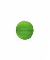 Lampion lime groen 0 24 meter