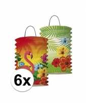 Papieren hawaii lampionnen 6 keer